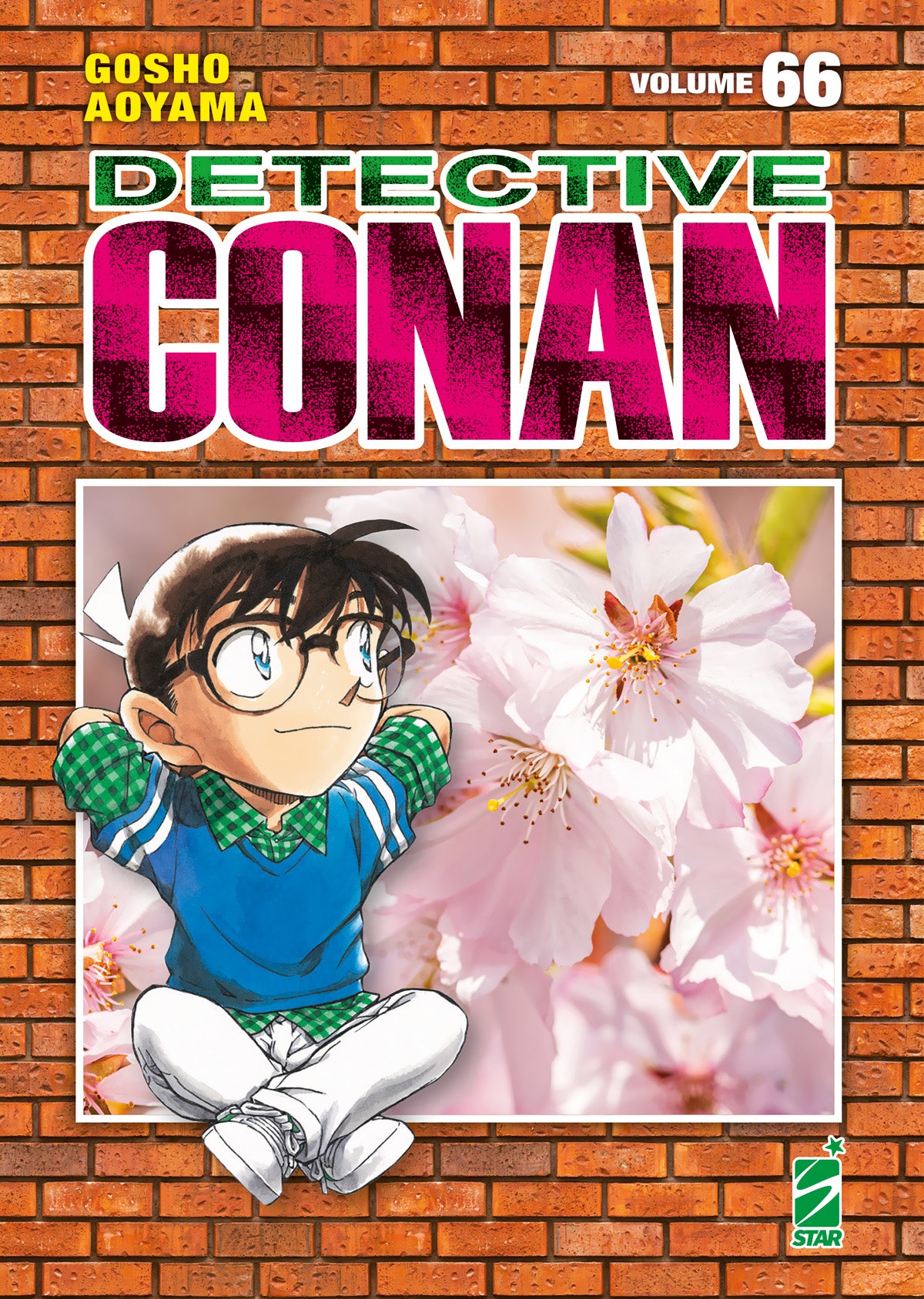 DETECTIVE CONAN NEW EDITION 66