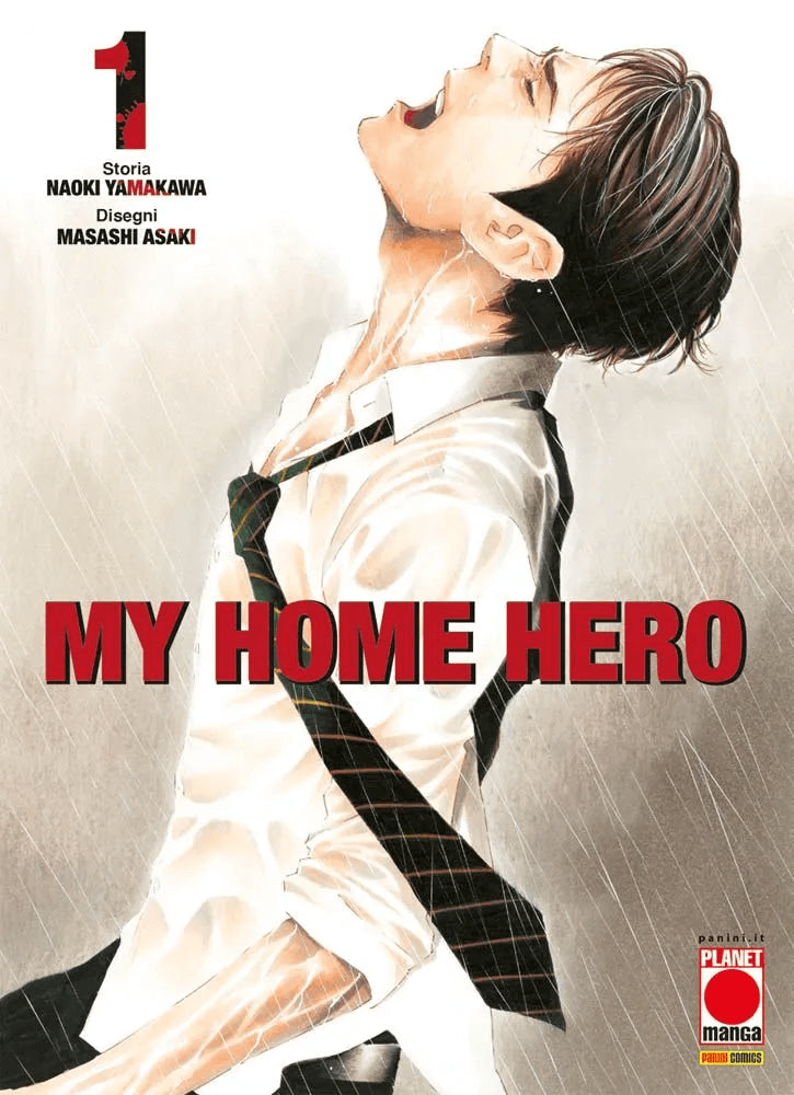 MY HOME HERO 1