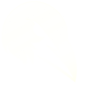 Logo Carta